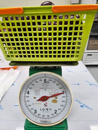 박미라님의 기타작물 · 영농일지 작성글 사진