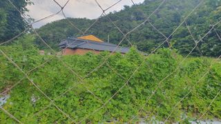 파피루스님의 기타작물 · 영농일지 작성글 사진