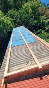 팜모닝 기타작물·영농일지 게시글 이미지