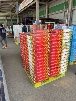 연재홍님의 토마토 · 영농일지 작성글 사진