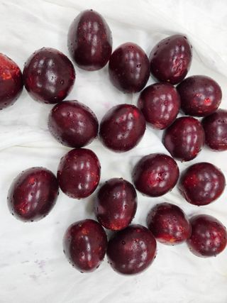 박미라님의 기타작물 · 영농일지 작성글 사진