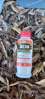 팜모닝 귤·영농일지 게시글 이미지