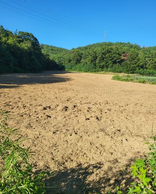 이영식님의 기타작물 · 영농일지 작성글 사진