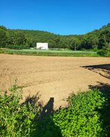 팜모닝 기타작물·영농일지 게시글 이미지