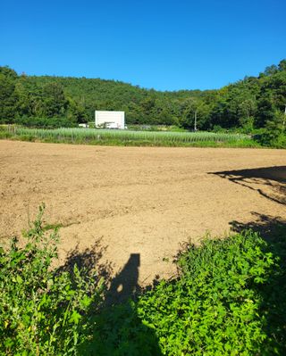 이영식님의 기타작물 · 영농일지 작성글 사진