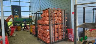 구춘봉님의 마늘 · 영농일지 작성글 사진