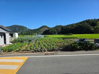 앵매도리님의 기타작물 · 영농일지 작성글 사진
