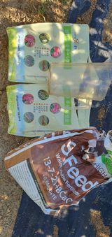 팜모닝 고추·영농일지 게시글 이미지