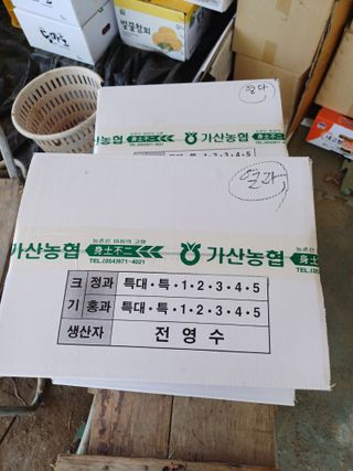 전원수님의 토마토 · 영농일지 작성글 사진