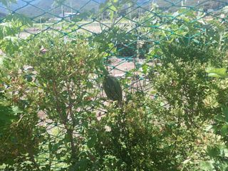 正覺님의 기타작물 · 영농일지 작성글 사진