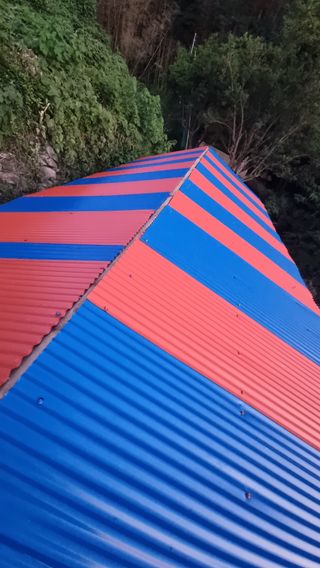 촌사리님의 기타작물 · 영농일지 작성글 사진