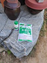 팜모닝 사과·영농일지 게시글 이미지