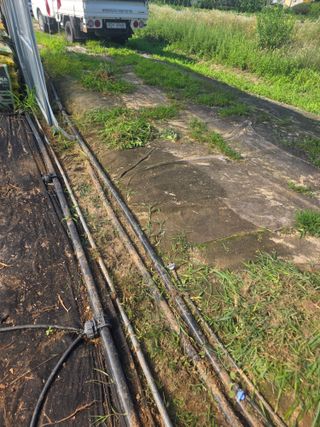 땍은이님의 블루베리 · 영농일지 작성글 사진