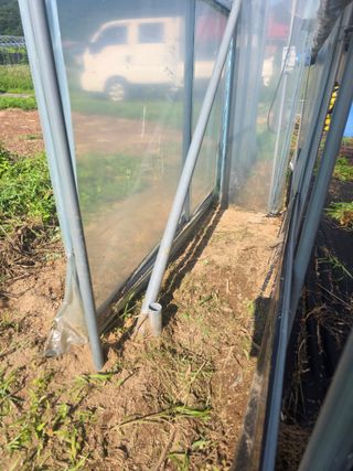 땍은이님의 블루베리 · 영농일지 작성글 사진