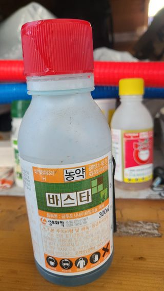 늘푸른 농장주님의 기타작물 · 영농일지 작성글 사진