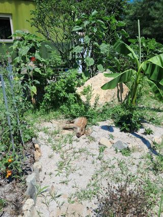 양배추20804님의 사과 · 영농일지 작성글 사진