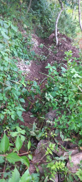 정석채님의 기타작물 · 영농일지 작성글 사진