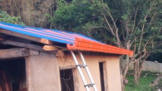 촌사리님의 기타작물 · 영농일지 작성글 사진