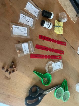 별@노래농장(정씨)님의 기타작물 · 영농일지 작성글 사진