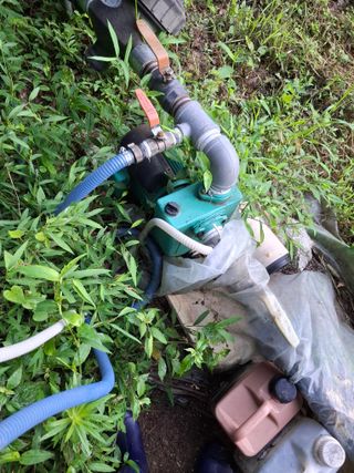 김영기님의 포도 · 영농일지 작성글 사진