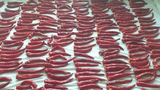 이경옥님의 기타작물 · 영농일지 작성글 사진