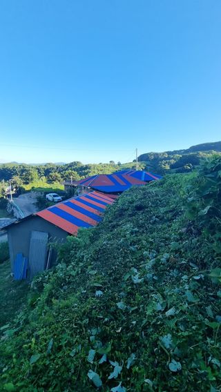 촌사리님의 기타작물 · 영농일지 작성글 사진