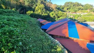 촌사리님의 기타작물 · 영농일지 작성글 사진