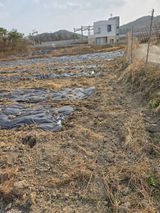 팜모닝 기타작물·영농일지 게시글 이미지