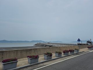 이정민님의 들깨 · 영농일지 작성글 사진