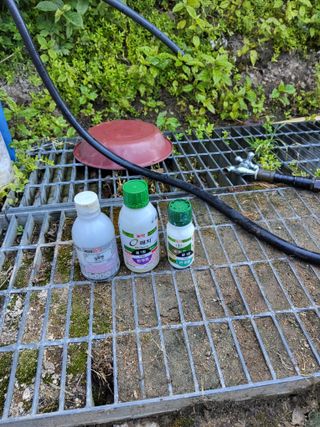 김성열님의 들깨 · 영농일지 작성글 사진