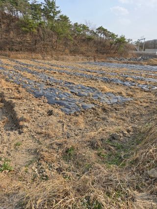 한결님의 기타작물 · 영농일지 작성글 사진
