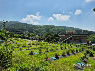 나오리농장님의 기타작물 · 영농일지 작성글 사진