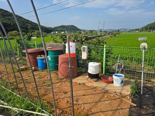 심기정님의 콩 · 영농일지 작성글 사진