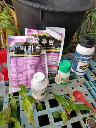 김형수님의 기타작물 · 영농일지 작성글 사진