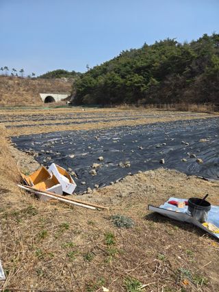 한결님의 기타작물 · 영농일지 작성글 사진