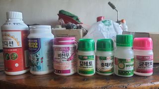 고춘석(고랑과이랑)님의 기타작물 · 영농일지 작성글 사진