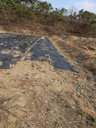 한결님의 기타작물 · 영농일지 작성글 사진