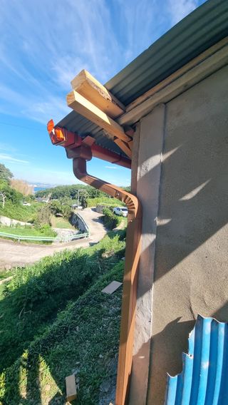 촌사리님의 고추 · 영농일지 작성글 사진