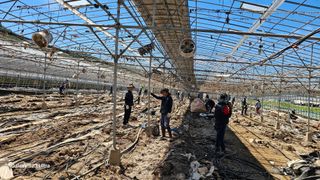 염봉섭님의 기타작물 · 영농일지 작성글 사진