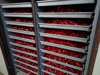 이정민님의 들깨 · 영농일지 작성글 사진