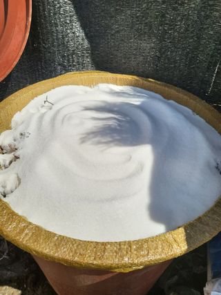 진잠농원님의 기타작물 · 영농일지 작성글 사진