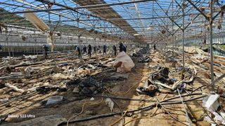 염봉섭님의 기타작물 · 영농일지 작성글 사진