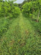 팜모닝 기타작물·영농일지 게시글 이미지