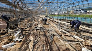 염봉섭님의 기타작물 · 영농일지 작성글 사진