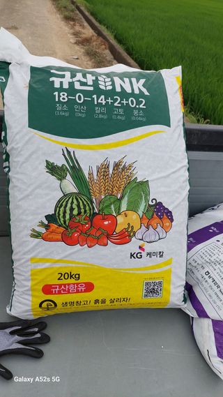 파릇파릇님의 벼 · 영농일지 작성글 사진