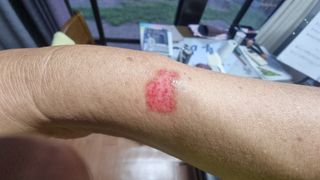 촌사리님의 기타작물 · 영농일지 작성글 사진