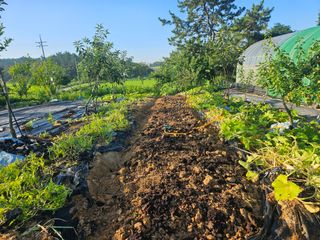 보리수치유농장님의 기타작물 · 영농일지 작성글 사진