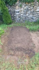 팜모닝 기타작물·영농일지 게시글 이미지