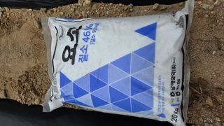  조약돌님의 들깨 · 영농일지 작성글 사진