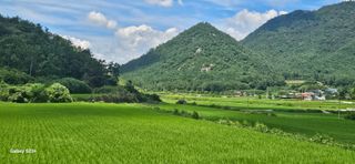 최갑수 님의 벼 · 영농일지 작성글 사진